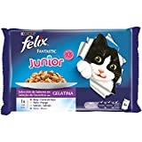 Premios para gatos junior al mejor precio en www.comecat.es