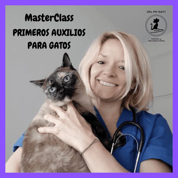 MasterClass de Primeros Auxilios para Gatos