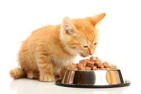 La comida para gatos