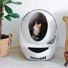 Comida para gatos ✅ blog2 Mejores areneros para gatos