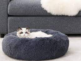 Comida para gatos ✅ blog2 Camas cómodas para gatos