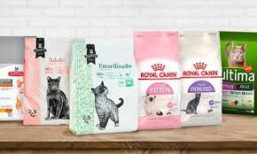 Comida para gatos ✅ blog2 Mejores marcas de comida para gatos